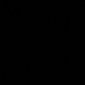 Meet your Posher, Levi